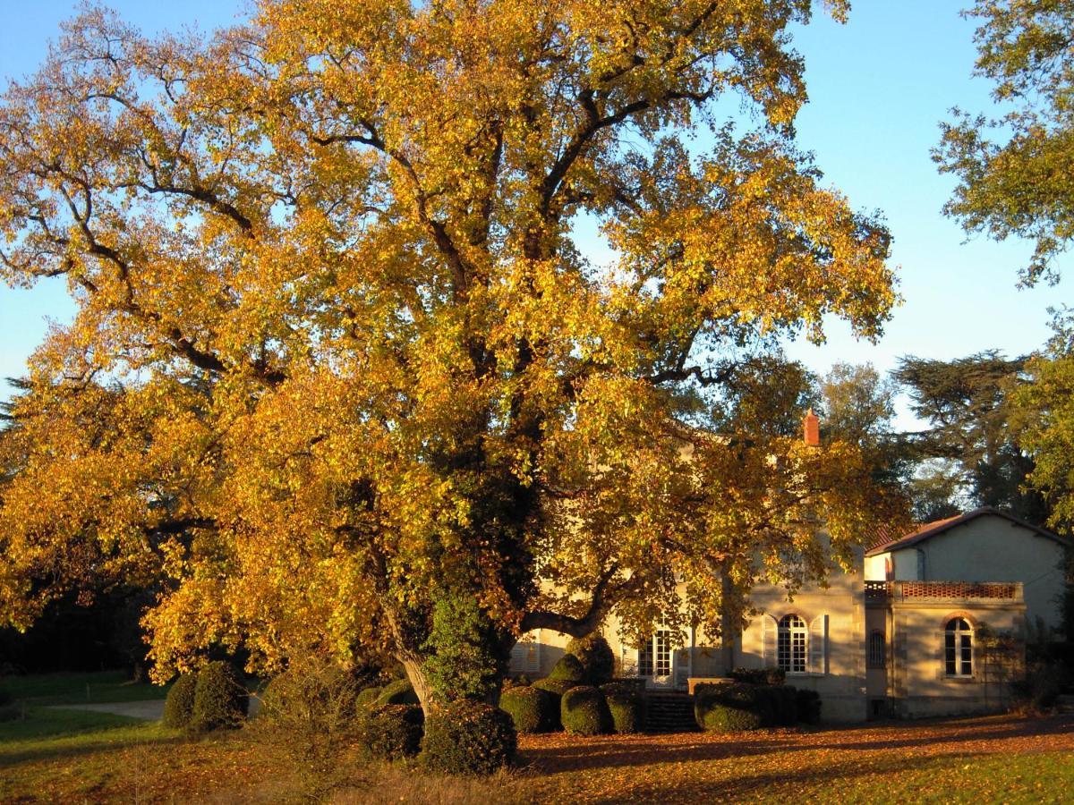 Le Pin Domaine Des Roches Blanches别墅 外观 照片