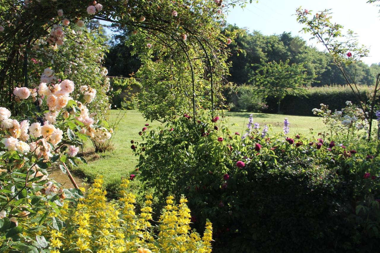 Le Pin Domaine Des Roches Blanches别墅 外观 照片