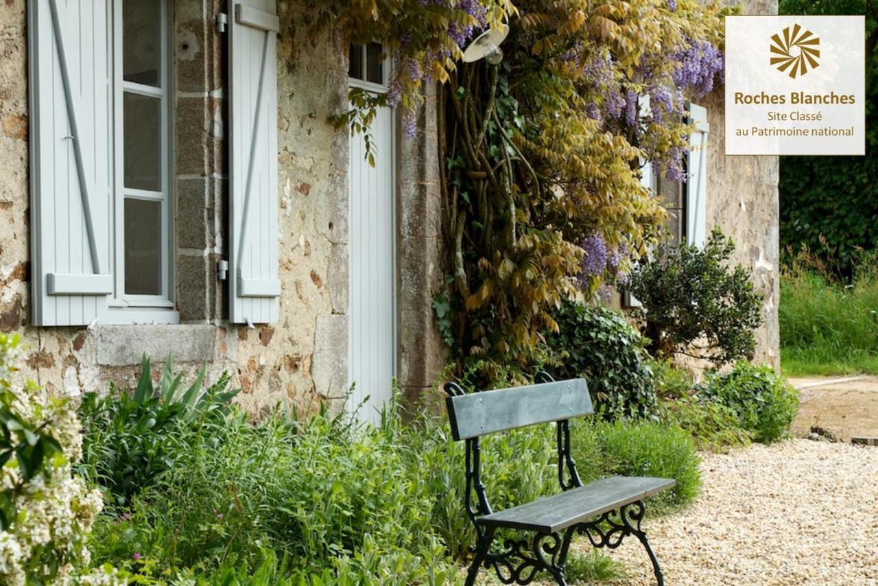 Le Pin Domaine Des Roches Blanches别墅 外观 照片